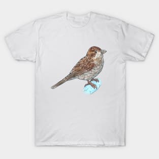 House Sparrow T-Shirt